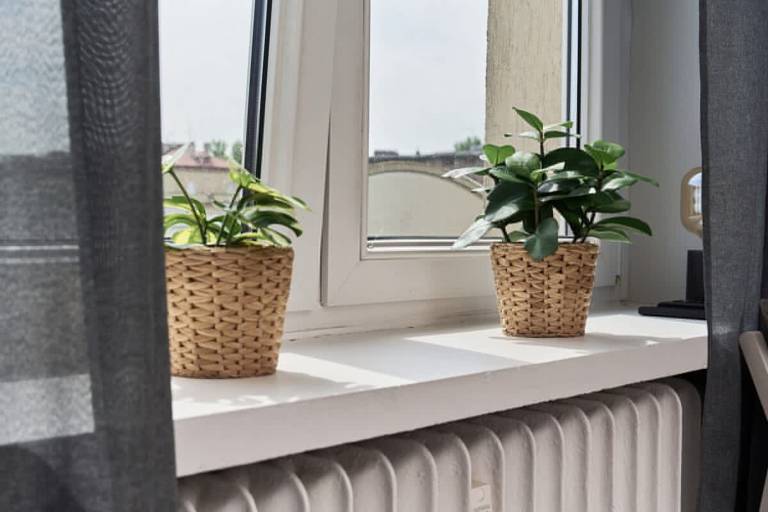 Child-friendly studio with fast internet | Close to Market Square | Dogs allowed — photo 4