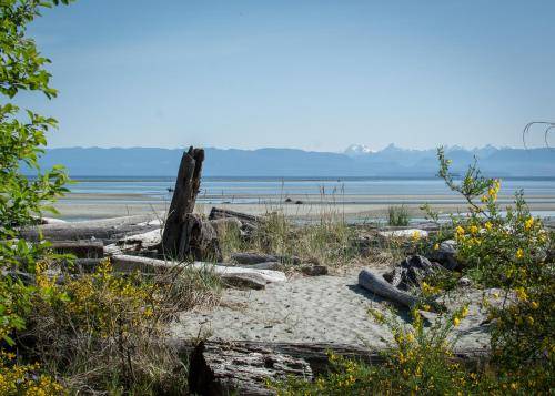 Bed and breakfast Comox