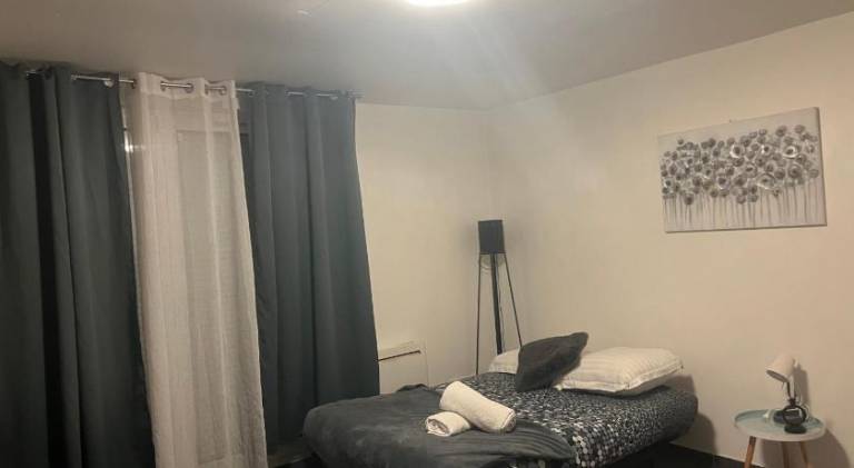 Apartment | Pets allowed in Lyon