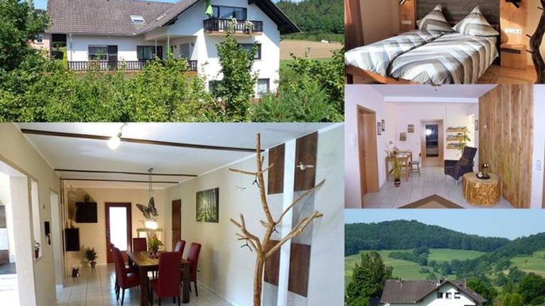 Ferienwohnung  Frankenau