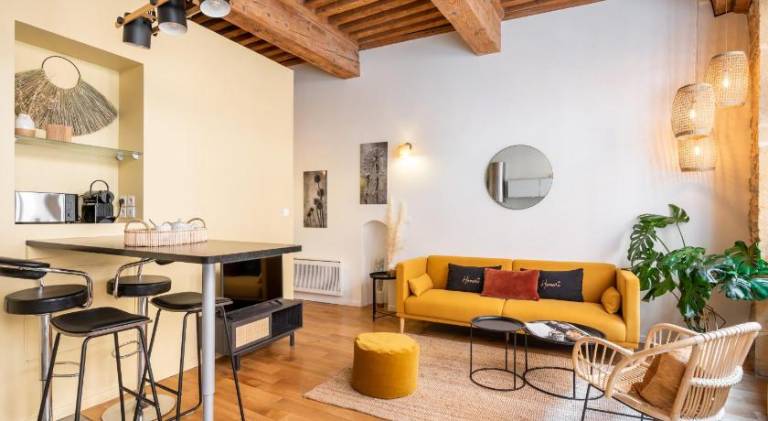 Holiday apartment | Next to Place Bellecour | Dogs allowed in Lyon