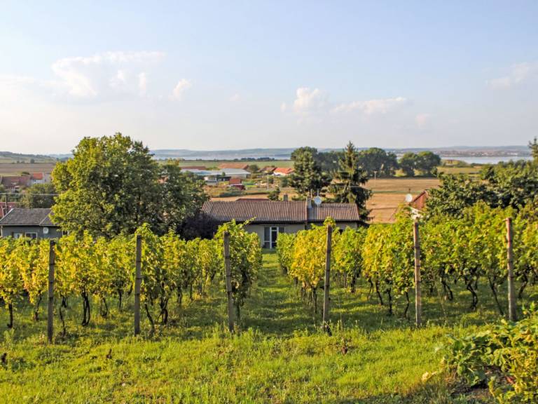 Farmářský dům  Perná