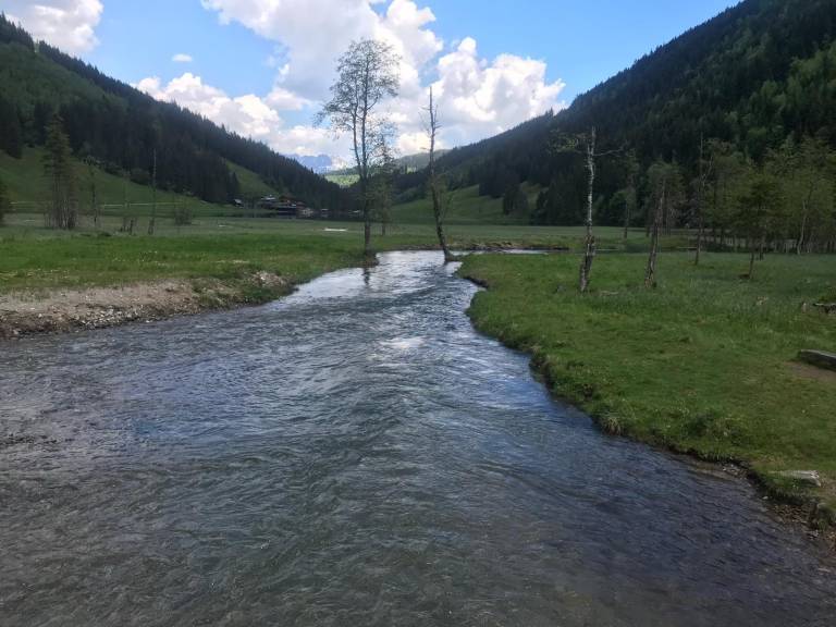 foto40