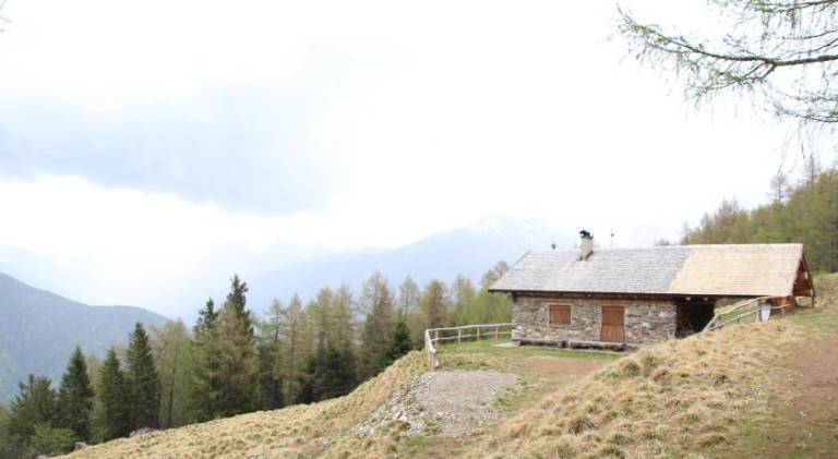 foto23