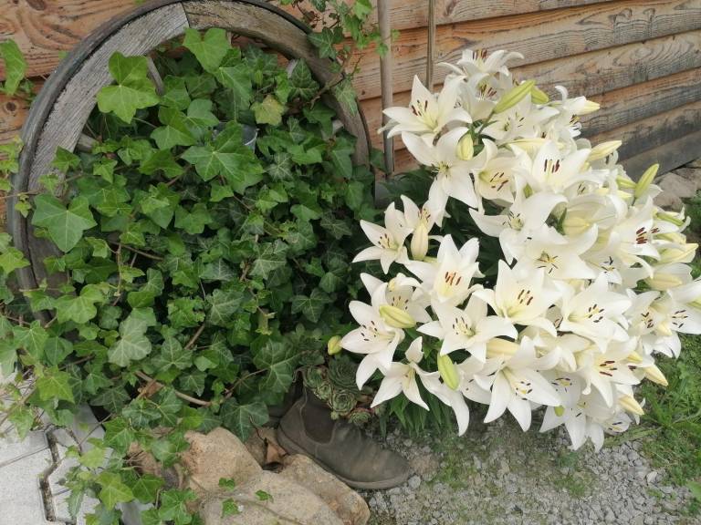 foto28