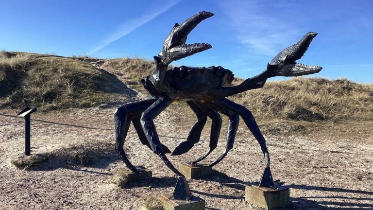 Ferienhaus  Slettestrand