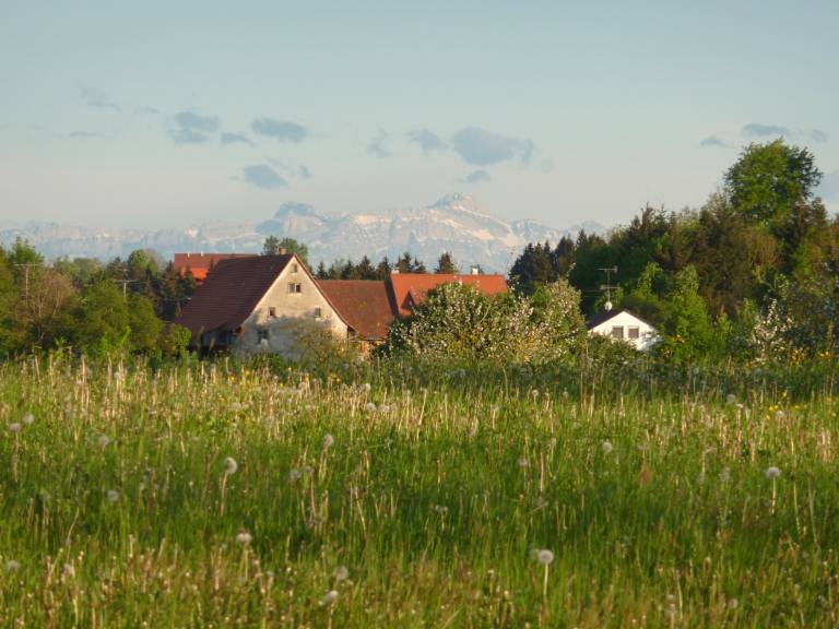 foto20