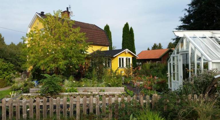 Perenner pa bakgarden — photo 5