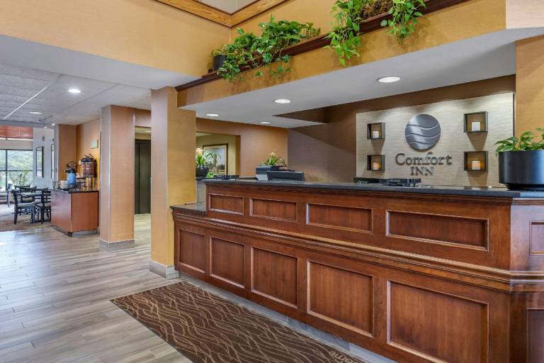 Comfort Inn Okemos - East Lansing — photo 5