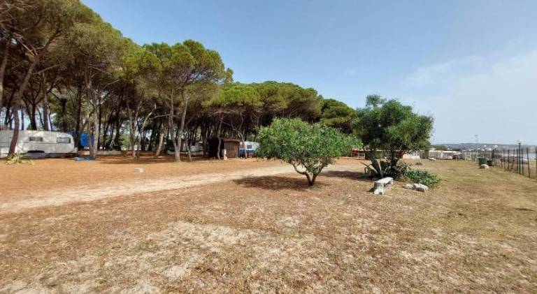 Camping Cammello Grigio — photo 3