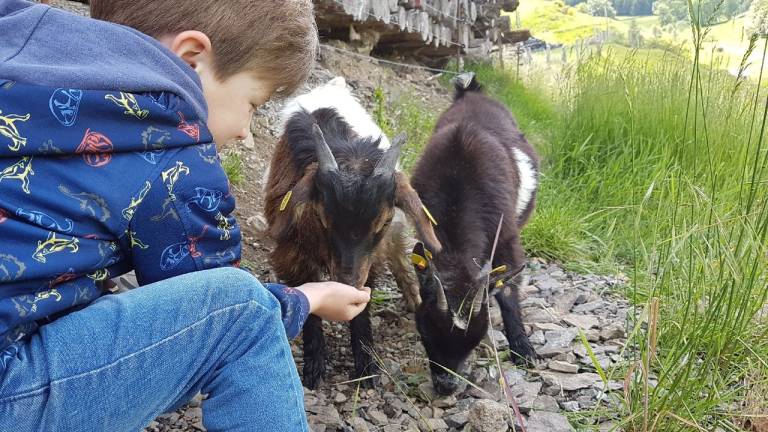 Ferienwohnung Sundern (Sauerland)