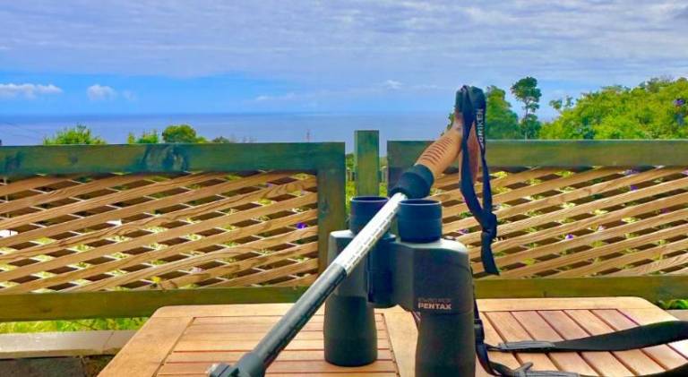 Lovely house with terrace | Pets allowed in Angra do Heroismo