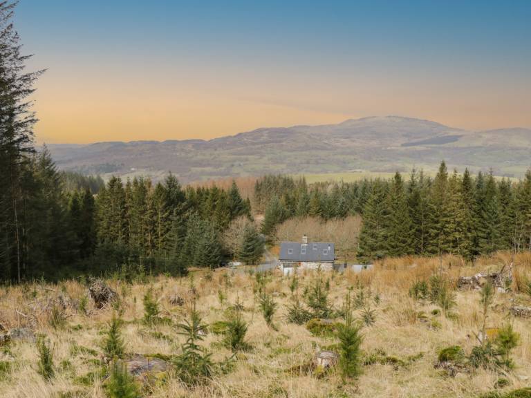 Cabin  Llanuwchllyn