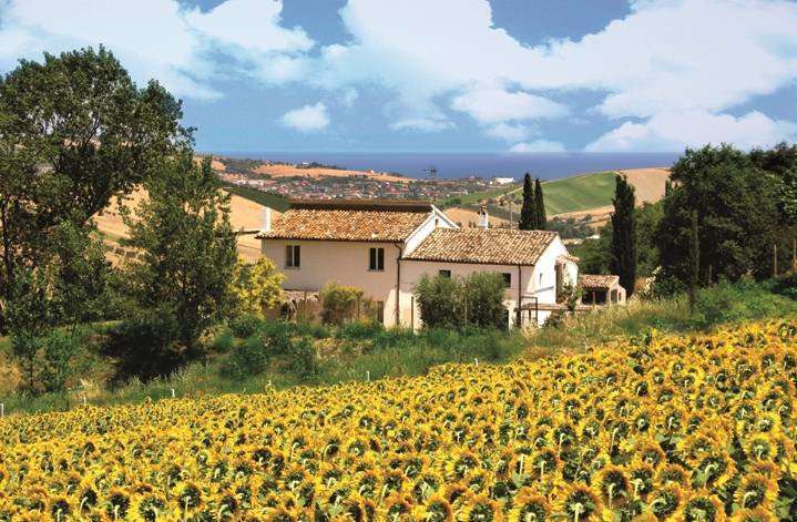 Agriturismo Montefiore dell'Aso