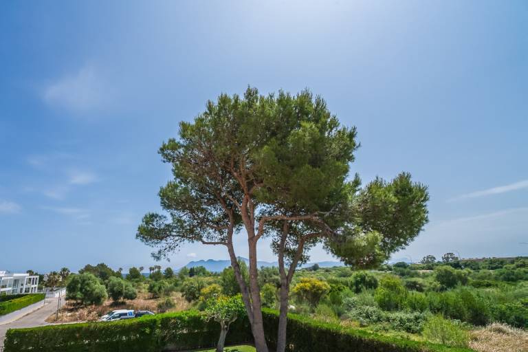 foto41