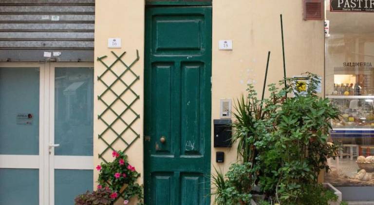 Wonderful apartment | Pets are welcome — photo 4