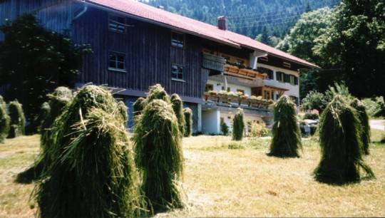 foto6