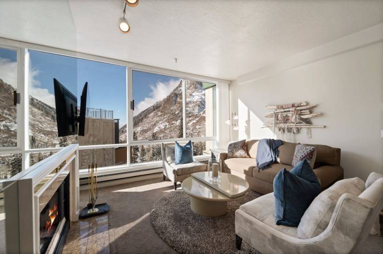 Condo Snowbird