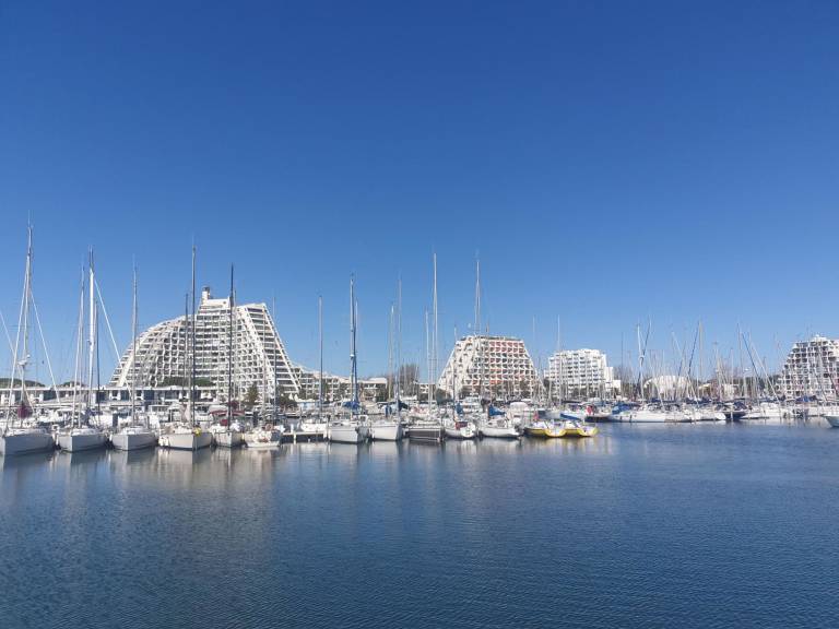 Apartment with patio & heated pool | Beach nearby | Dogs allowed — photo 4