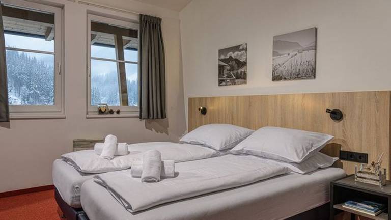 Ferienwohnung  Viehhofen