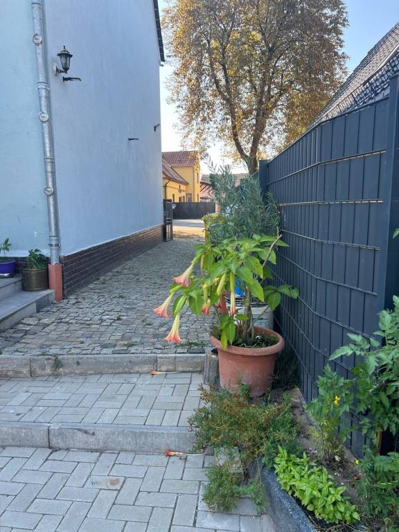 foto21
