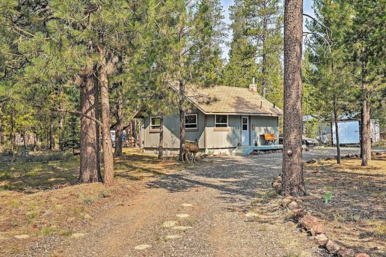 Cabin La Pine