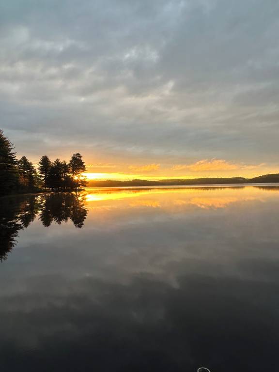 Cabin Parry Sound