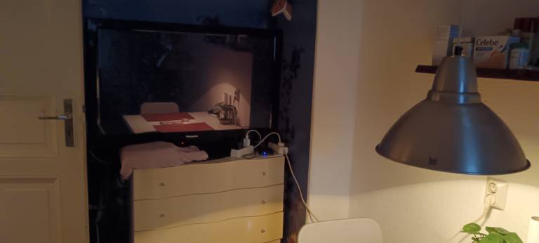 foto12
