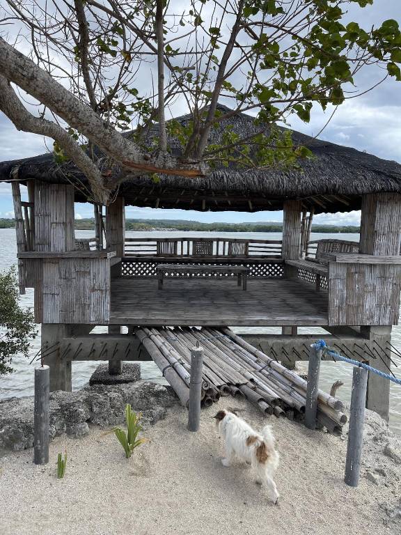 Ample house with grill | Beach nearby | Pets allowed — photo 2
