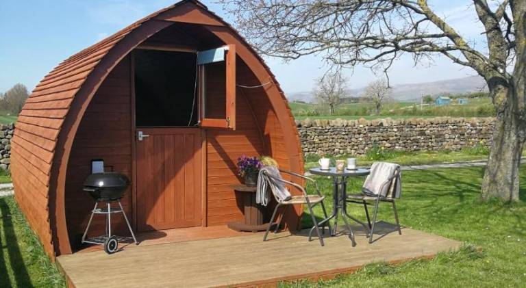 Sunny Mount Glamping Pod