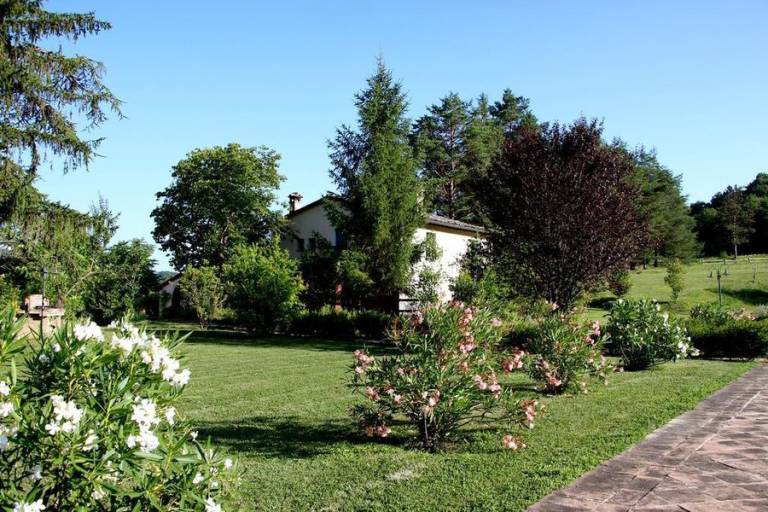 foto11