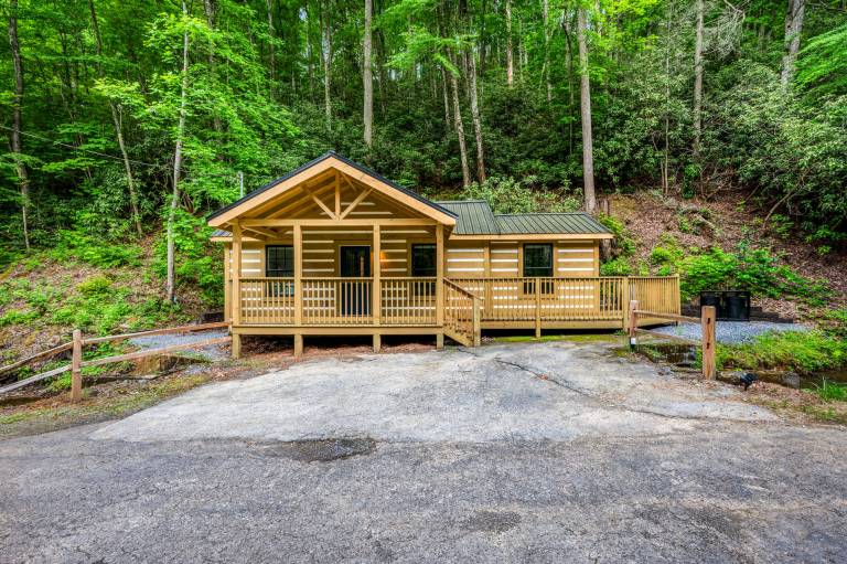 2Bdrm Cabin 4 Gburg Pet Friendly Firepit Games in Gatlinburg, TN