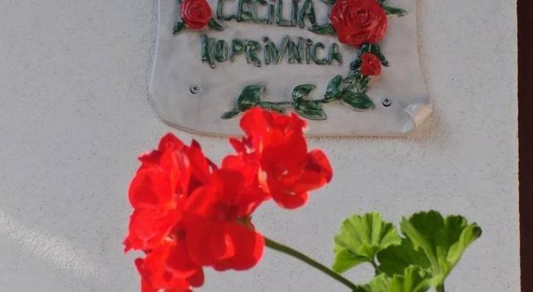 kuća  Koprivnica