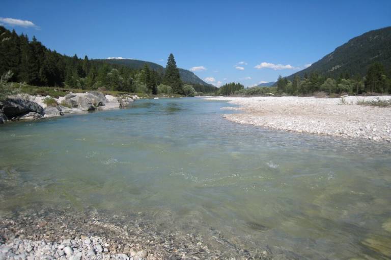 foto19