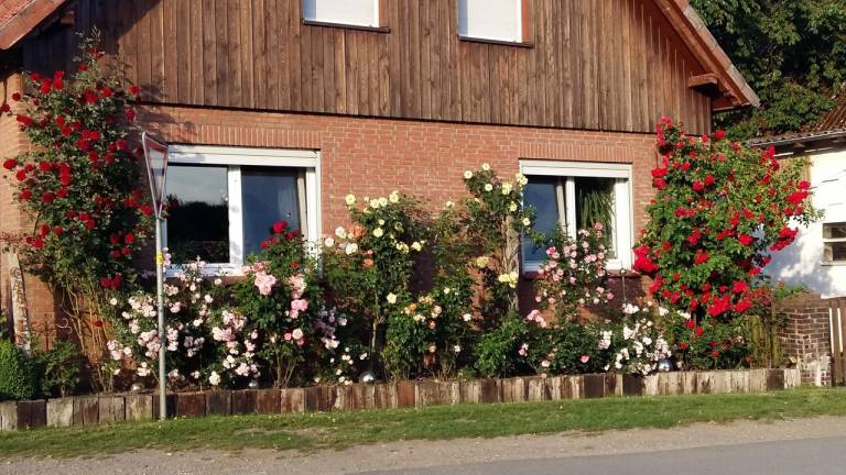 Ferienwohnung  Hünzingen