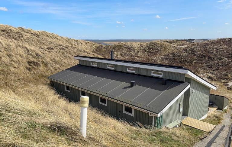 Ferienhaus Hvide Sande