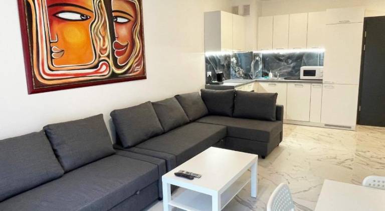 Rental apartment | Pets are welcome in Lódz