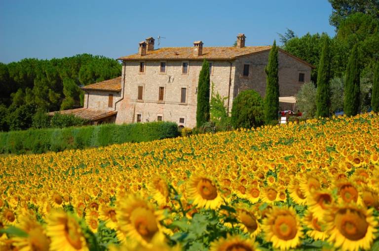 Camera privata Todi