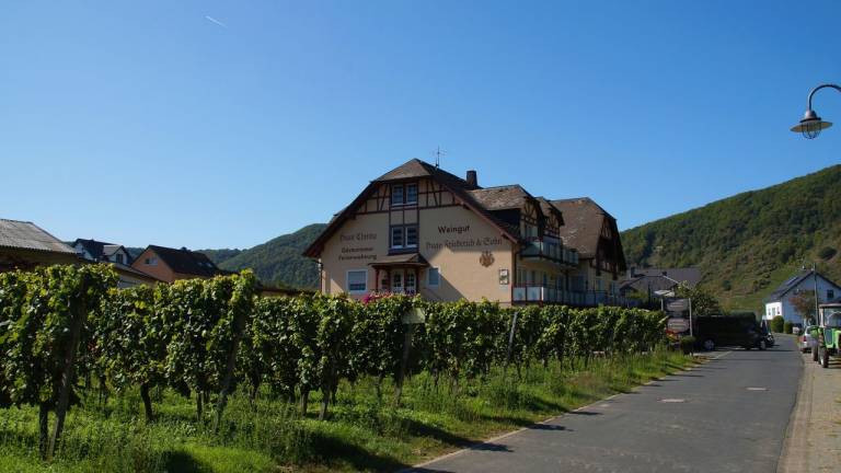 Ferienwohnung Bruttig-Fankel
