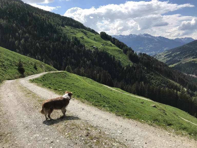 foto28