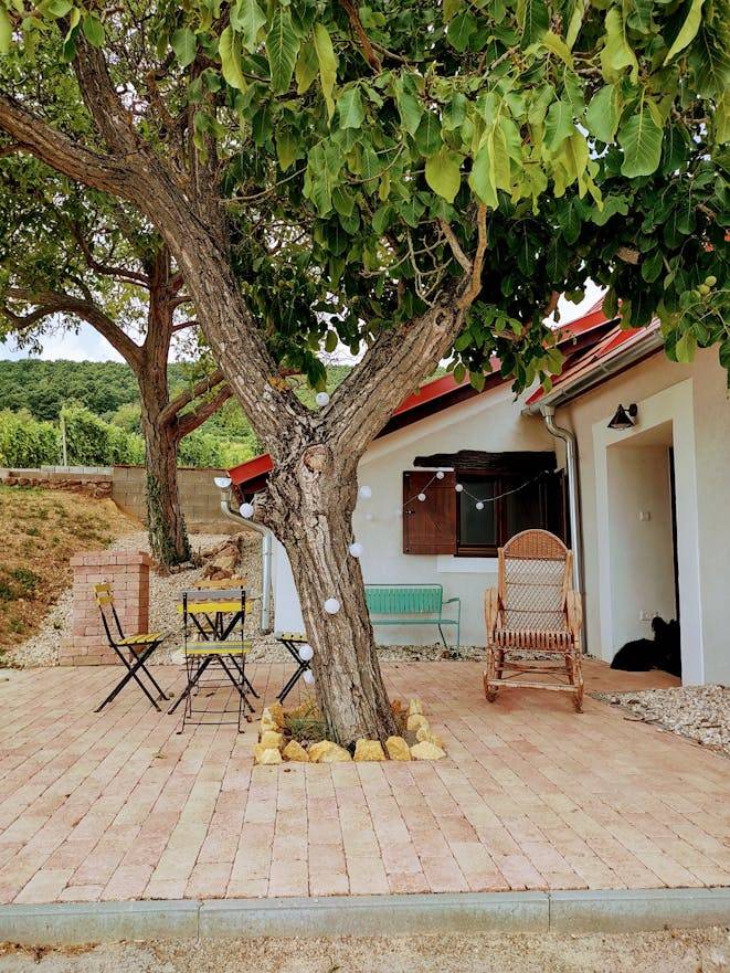 House with 2 rooms for 6 persons — photo 3