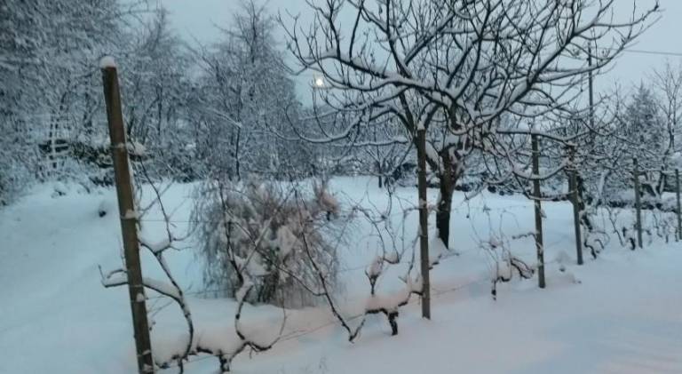 foto42