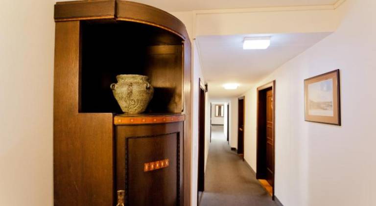 Hotel Alt-Ringlein — photo 5