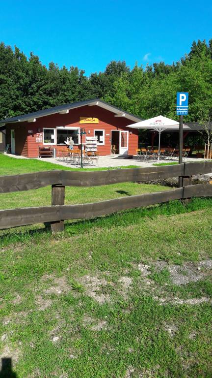 foto16