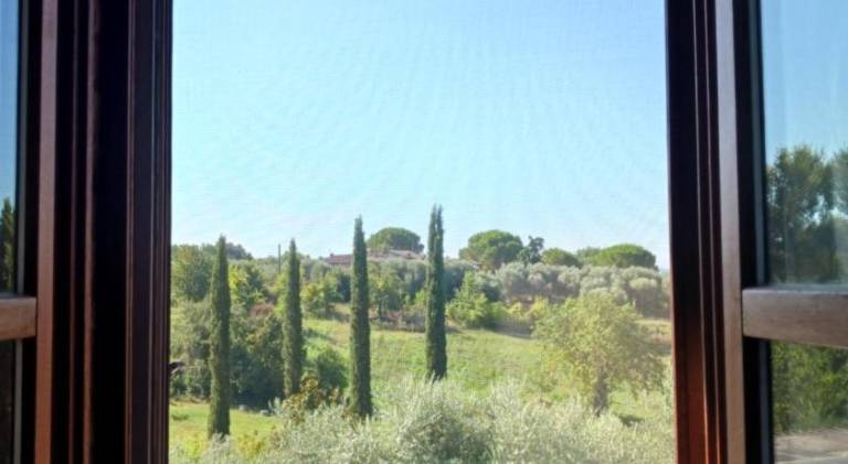 Appartamenti Leccino e Moraiolo — photo 4