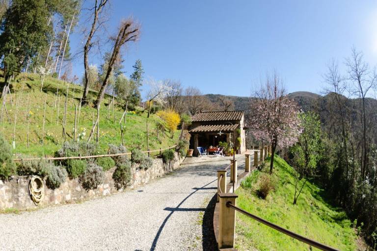 foto14