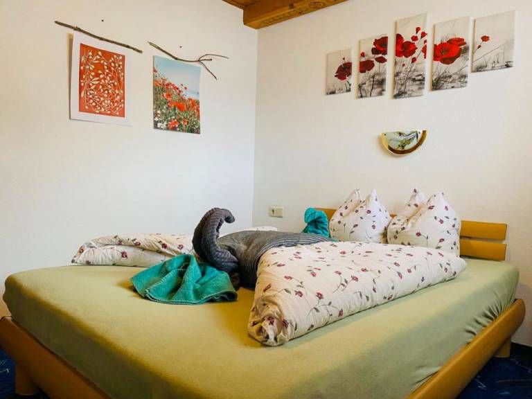 foto5