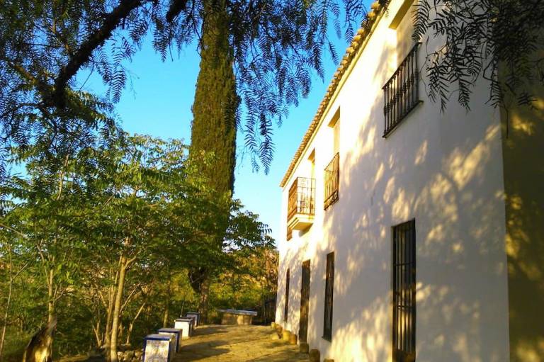 foto16