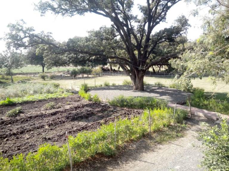 Vacation home with BBQ & garden | Pets allowed — photo 4