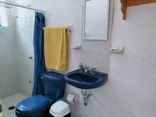 foto7